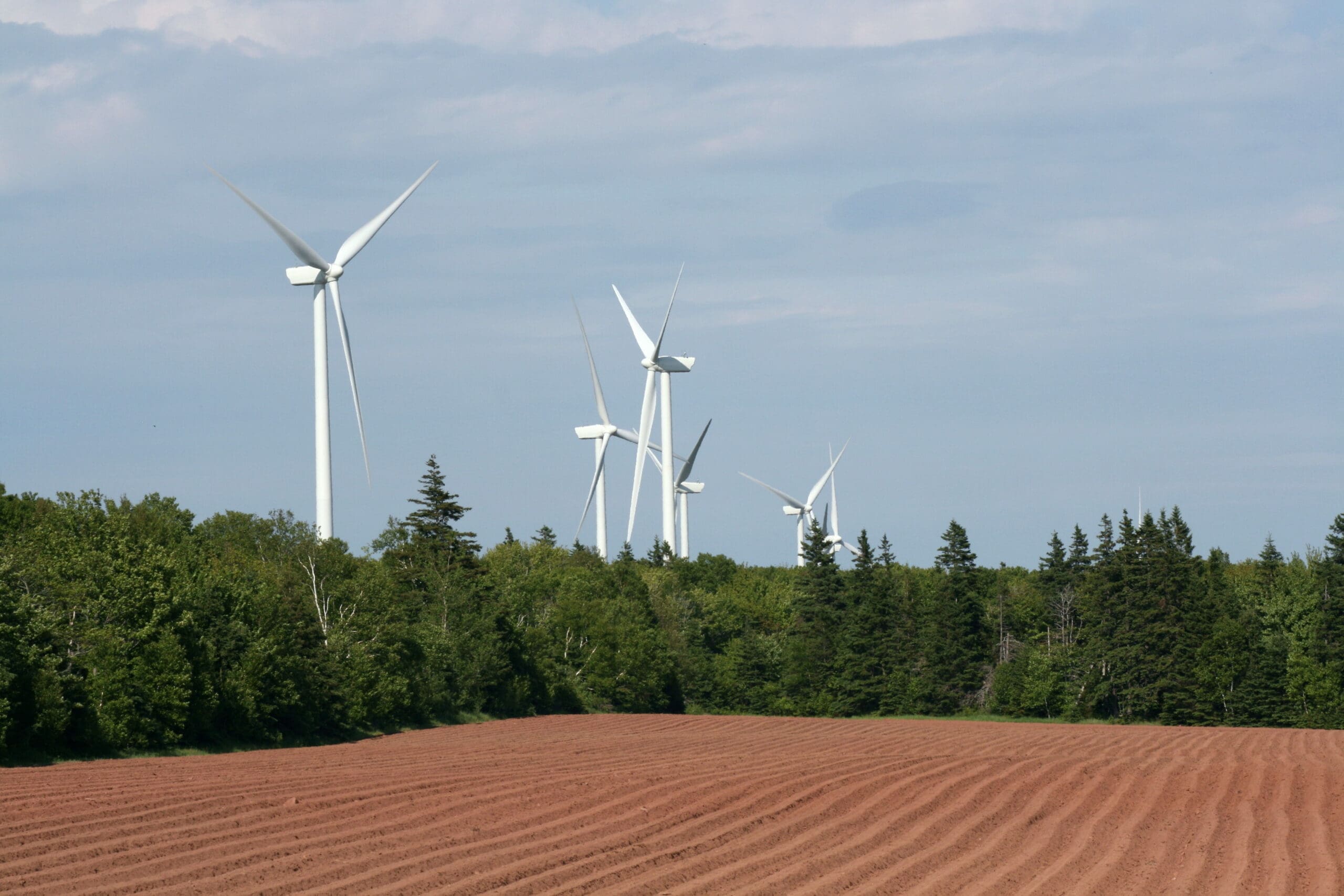 Essential SEO Strategies Tailored for PEI Small Businesses