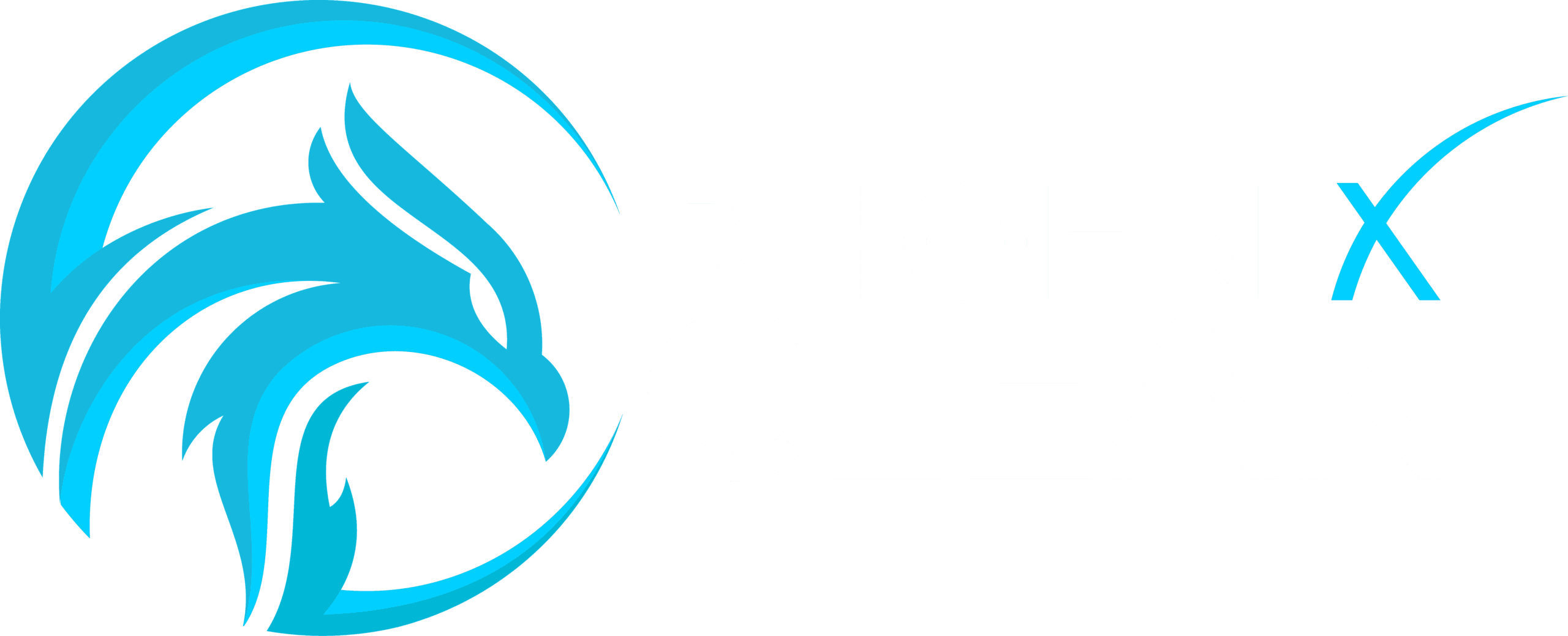 Phoenix Clean (light) Hy-Croft-White
